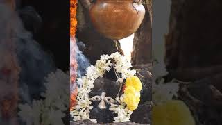 ಕಲ್ಯಾ ಉದ್ಭವ ಲಿಂಗ | Kalya Udhbhava linga - kaup , Udupi