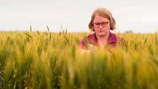 Discovering Ways to Control Fusarium Head Blight