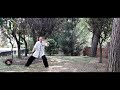 chen taijiquan ba shi wang xi an system