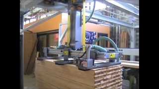 Joulin Gantry Robots : Infeed of lumber molder