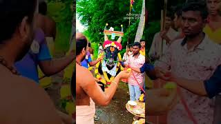 பாரம்பரியம்🙏 பாதுகாப்போம்😍 | #jallikattu #shorts #video #2023 #vaadivaasal #tn_45 #ஜல்லிக்கட்டு