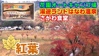 茨城県北茨城市 花園オートキャンプ場 花園渓谷と近場の温泉とラーメン 撮影日2022.11月中旬