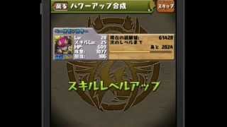 [パズドラ] スキルレベルアップ発生確率2倍を検証④