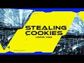 Stealing Cookies using XSS