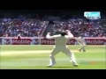 Unexpected Funny Moments In Cricket !