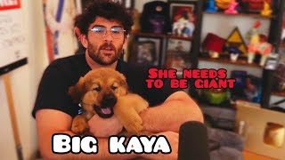 Hasan Finds Out How Large Kaya Will Be