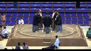 Iida vs Hakuyo Day 4 Sumo Nagoya Basho July 2014