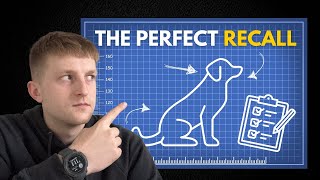 The Best Recall Dog Training Tips In Under 5 Minutes