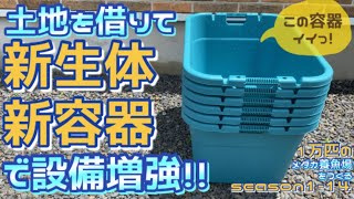 【メダカ】1万匹のメダカ養魚場をつくるseason1-14土地を借りて新容器レビューと新生体導入で設備を増強致しますっ！バージョンUP！