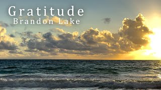 Brandon Lake - Gratitude (All that I have is a hallelujah) Lyrics timed for singing