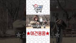 개소리(?) 가득한 호순의 자동차 애견용품 판매 도전기 ㅣ 오늘MO팔지? ep.4 ㅣ 애견용품 ㅣ #shorts