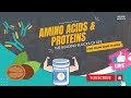 Amino Acids & Proteins: The Building Blocks of Life