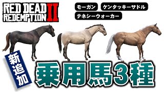 【RDR2】追加乗用馬 3種