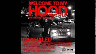 DJ Khaled Feat. Various Artists - Welcome To My Hood (Remix)
