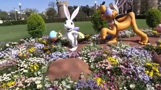 ディズニーランド　イースター　お散歩　中央お城付近　2016年GW　Tokyo Disney Take a walk