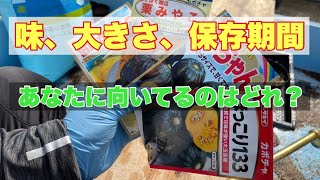 カボチャ栽培/育て方【かぼちゃ農家の私が種まきとオススメの品種を教えます】分からないことは農家に聞くことが1番大切　21/3/3