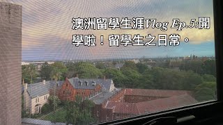 澳洲留學生涯Vlog Ep.5之開學啦！ 落足成個星期雨人都癲；亂到想爆粗嘅時間表；從學校到攞車牌，如何應付澳洲人的辦事作風？澳洲超市有咩賣？