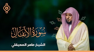 سورة الأنفال   - الشيخ ماهر المعيقلي