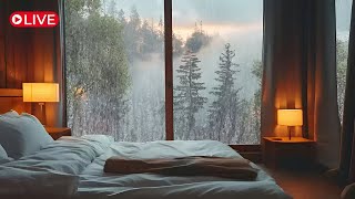 Cozy Rain Sounds by the Window | Gentle Rain \u0026 Night Forest Ambience for Deep Sleep 557