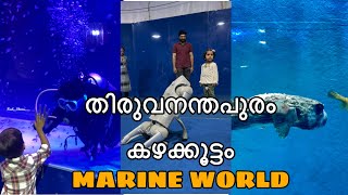 കടൽ മീനുകളുടെ ലോകം | MARINE WORLD IN THE SEA BY DQF | FOODSTORIES