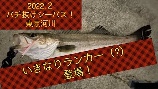 東京河川バチ抜けシーバス攻略戦！ランカークラスが襲いかかる！