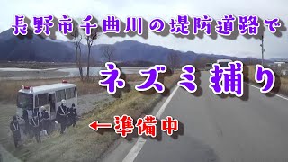 長野市千曲川の堤防道路でネズミ捕り