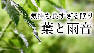 【8時間・葉にあたる雨の音】翌朝スッキリいい気分で眠れる雨音と癒しと健康美のピュアトーンソルフェジオ432Hz+528Hz極微音量🍀疲労回復・DNA修復・若返り・開運🐞ASMR自然音｜睡眠用・睡眠導入