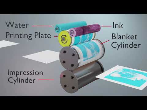 What is web offset ink?