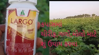 કપાસમાં મોલો, ગળો, લિલી ફૂદડી,ઈયળ માં શું ઉપાય