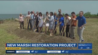 New marsh restoration project