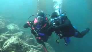 PADI Multilevel Diver