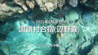 【素潜りグループ ワンブレス沖縄】国頭村合宿(辺野喜) 2021年9月25日