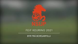 NSIJP FEIF KEURING 2021 - Byr fra Borgarfelli