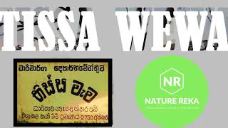 Tissa Wewa at Tissamaharama – The First Oblique Dam in the world #Tissa Tank #Tissa Lake