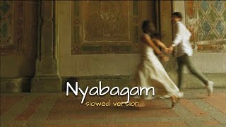 nyabagam(slowed version)#lofi #music #reverb #song