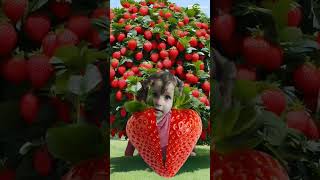 çilekten çıkan kız,/🍓 #viral #trending #youtube #keşfet #eğlence #video