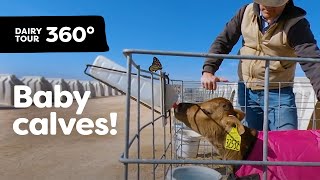 Visit Three Kinds of Milking Parlors | Dairy Tour 360 VR – Part 3