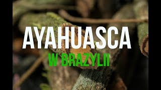 AYAHUASCA - moje doswiadczenie w Brazylii