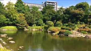 旧安田庭園　 Old Yasuda garden　(FULLHD)スタビライザー散歩　 Stabilizer walk