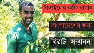 টাঙ্গাইলে ড্রাগন, মাল্টা, আনারস, খেজুর ও কফি চাষে বিশাল সাফল্য। HTV News Gazipur.