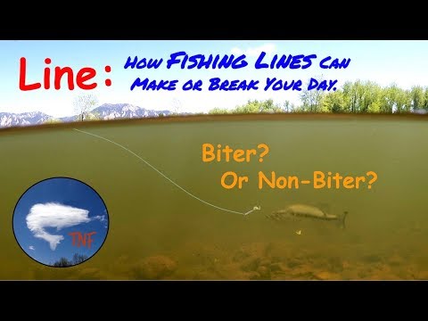 Fishing Lines 1: A Critical Link in Getting Fish to Bite. Fishing Lines 1: A Critical Link in Getting Fish to Bite.