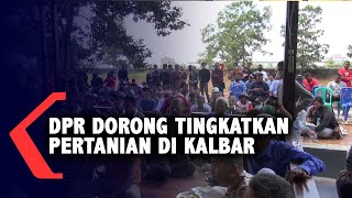 Petani Kalbar Keluhkan Stok Pupuk, DPR Siap Beri Bantuan