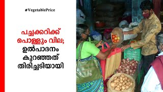 പച്ചക്കറി വില കുത്തനെ കയറുന്നു; ഇരട്ടി ദുരിതം | Vegetable price