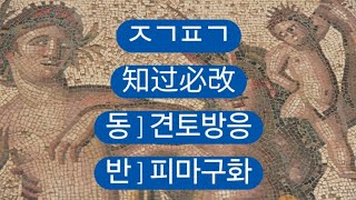 지과필개(知過必改/知过必改) 고사성어 사자성어 成语지식을 넓혀 가세요. 삶의 지혜가 쌓여 갑니다. 아래에 간단한 게임으로 기억력향상을 위한 공짜 e영양제를 제공