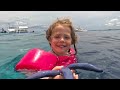 american family swims with millions of sardines moalboal philippines sardine run