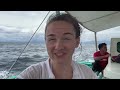 american family swims with millions of sardines moalboal philippines sardine run