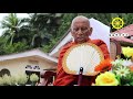 chula sachchaka suthraya චූල සච්චක සූත්‍රය most ven. bopitiye ganavasa thero.