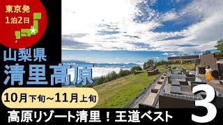 【国内旅行おすすめ】『高原リゾート清里！王道スポットベスト3』2021年10月下旬～11月上旬 1泊2日 東京発 清里高原 その2