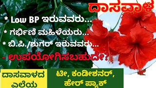 ದಾಸವಾಳದ ಗಿಡ ಎಲ್ಲಿದ್ದರೂ ಬಿಡಬೇಡಿ ಆರೋಗ್ಯದ ಖಜಾನ ಇದು| Benefit of Hibiscus