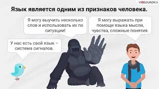 Видеоурок по русскому языку “Роль языка в обществе”